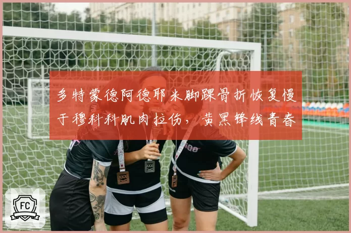 多特蒙德阿德耶米脚踝骨折恢复慢于穆科科肌肉拉伤，黄黑锋线青春风暴参差