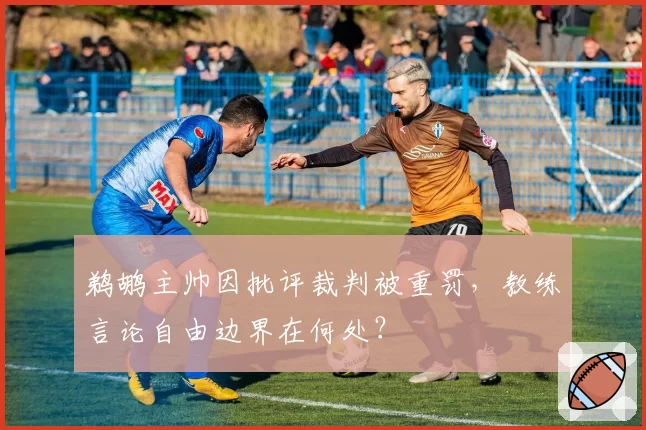 鹈鹕主帅因批评裁判被重罚,教练言论自由边界在何处?
