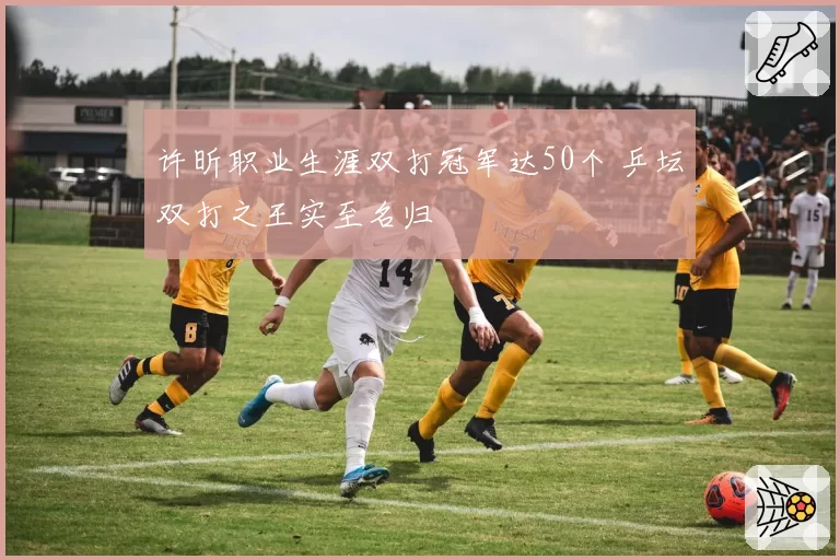 许昕职业生涯双打冠军达50个 乒坛双打之王实至名归