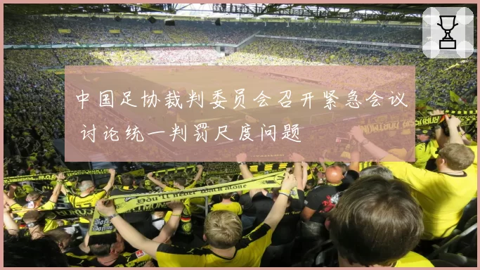 中国足协裁判委员会召开紧急会议 讨论统一判罚尺度问题