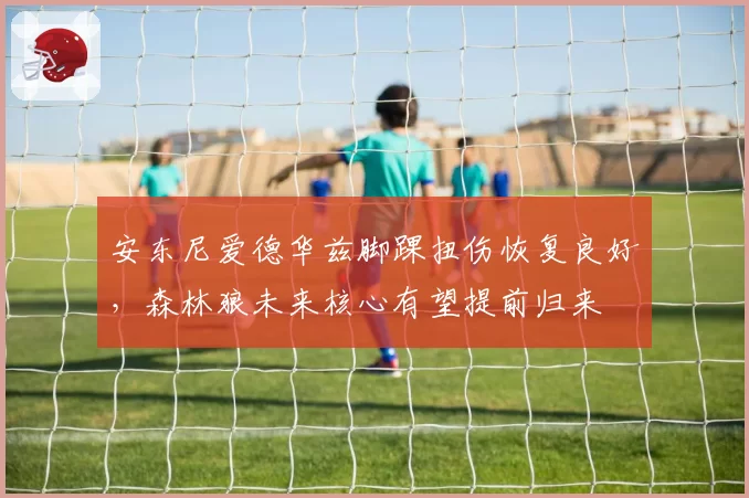 安东尼爱德华兹脚踝扭伤恢复良好，森林狼未来核心有望提前归来