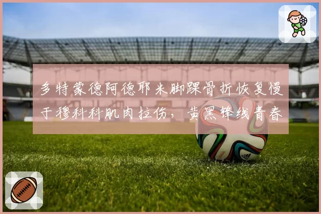 多特蒙德阿德耶米脚踝骨折恢复慢于穆科科肌肉拉伤，黄黑锋线青春风暴参差