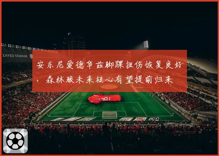 安东尼爱德华兹脚踝扭伤恢复良好，森林狼未来核心有望提前归来