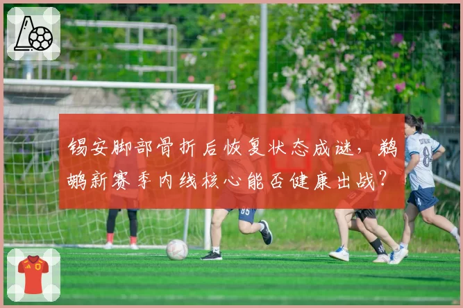 锡安脚部骨折后恢复状态成谜,鹈鹕新赛季内线核心能否健康出战?